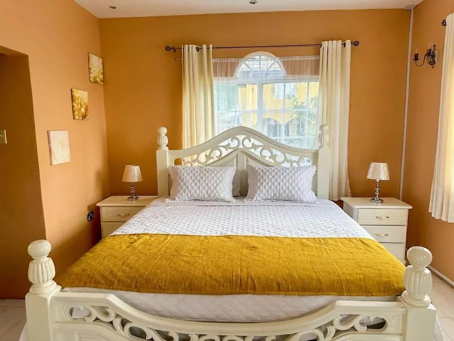 Vila Satin Dreams Jamaica Steer Town